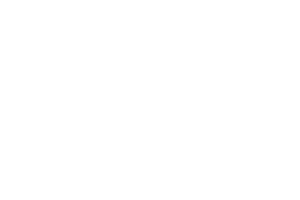 Logo Apple Pay