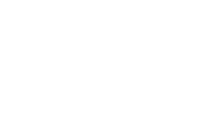 Logo Visa